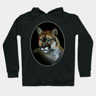 Florida Panther by Sherrie Spencer Hoodie